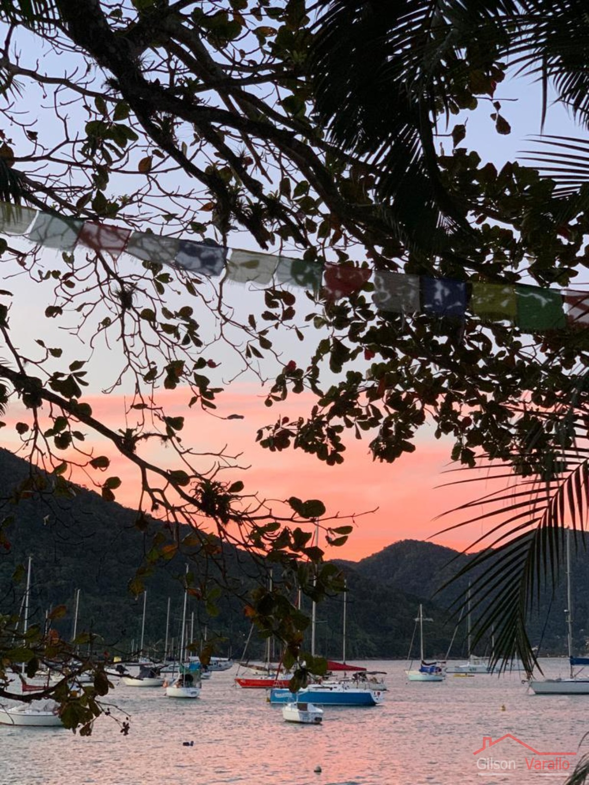 Casa, 5 quartos, 400 m² - Foto 22