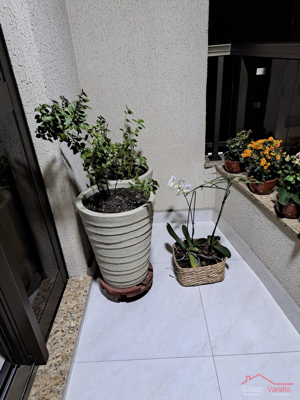 Apartamento, 3 quartos, 997639 m² - Foto 14