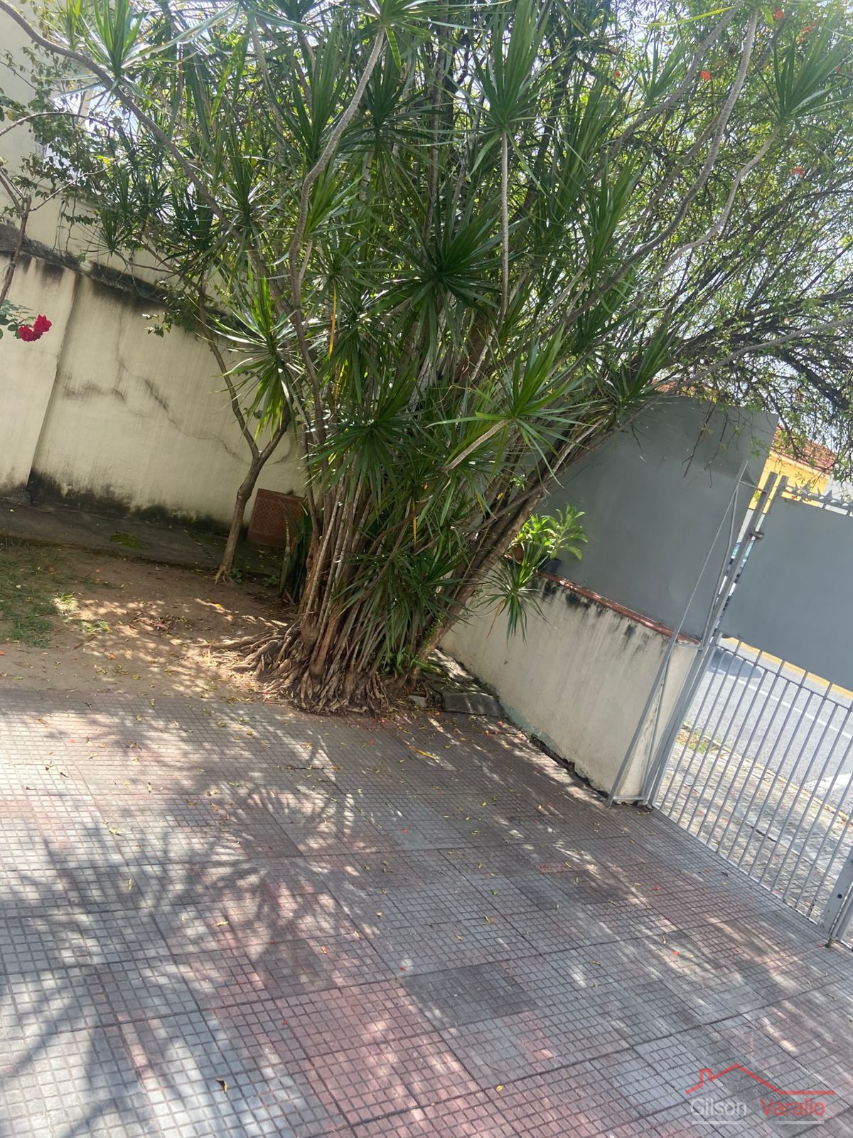 Casa, 3 quartos, 238 m² - Foto 2