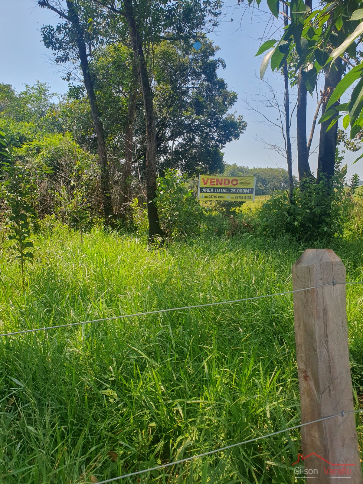 Terreno, 3 hectares - Foto 8